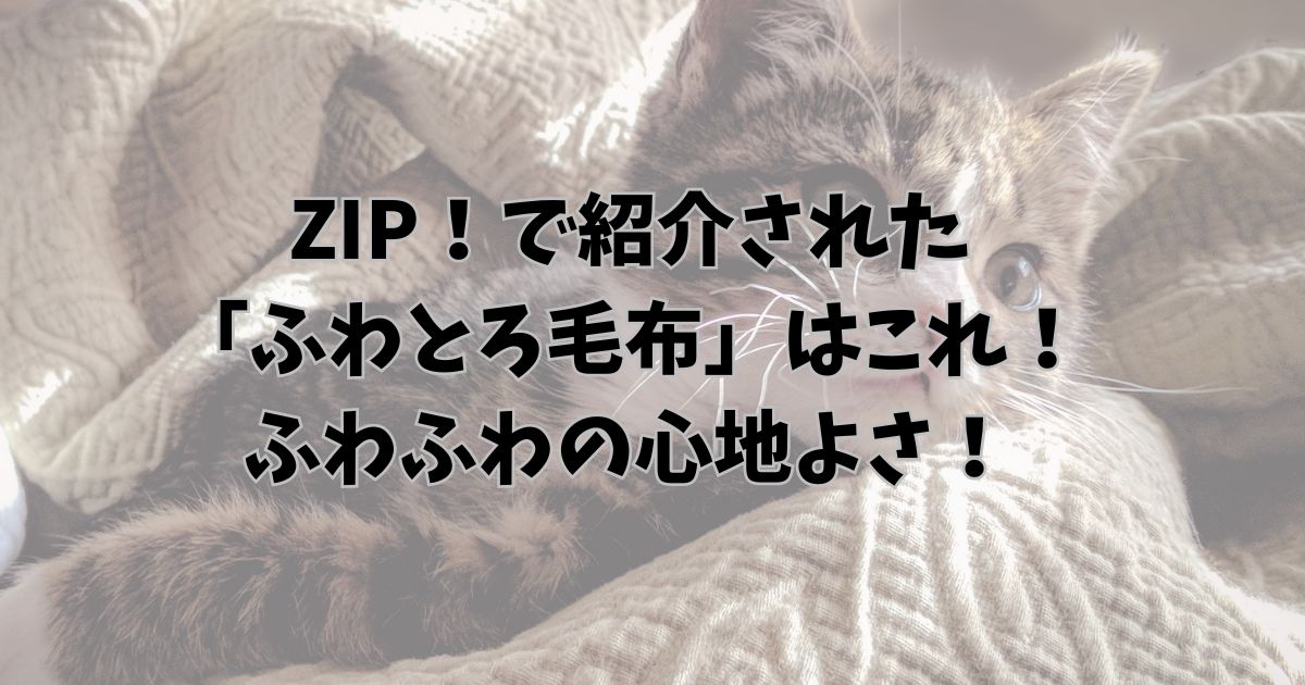 ZIP！で紹介された「ふわとろ毛布」はこれ！ふわふわの心地よさ！