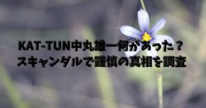 KAT-TUN中丸雄一何があった？スキャンダルで謹慎の真相を調査