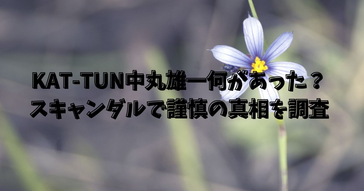 KAT-TUN中丸雄一何があった？スキャンダルで謹慎の真相を調査