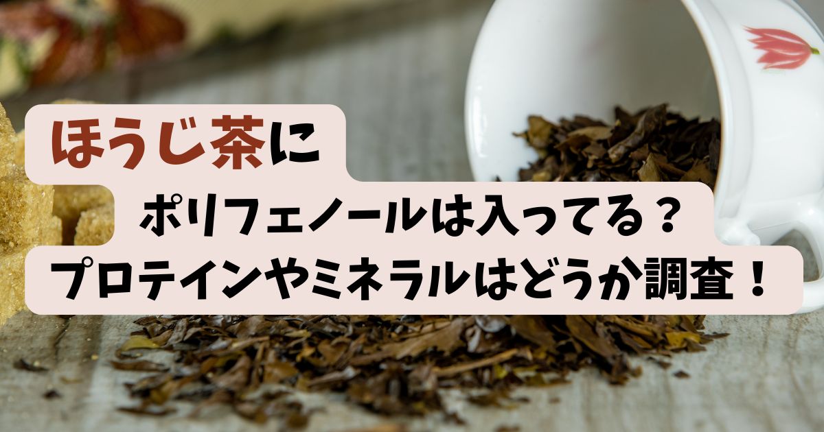 ほうじ茶にポリフェノールは入ってる？プロテインやミネラルはどうか調査！